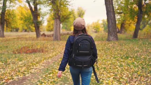 Chica turista en una caminata en el bosque de otoño — Vídeos de Stock