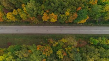 Sonbahar ormanı ve yolunun hava videosu