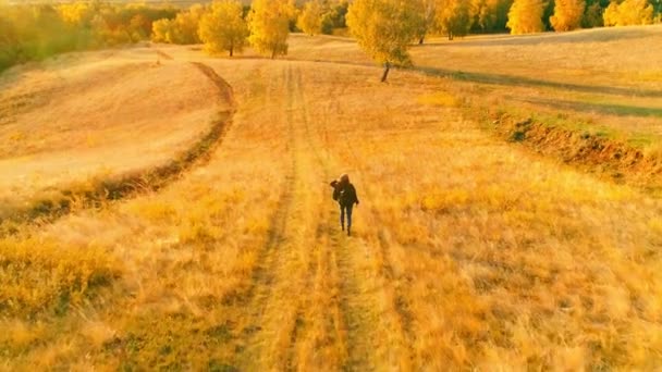 Aerial video. Girl tourist on a hike in the autumn field — Stock Video
