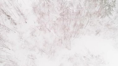 Dağların ve kış ormanlarının hava görüntüleri.