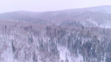 Dağların ve kış ormanlarının hava görüntüleri.