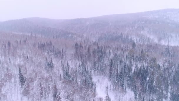 Luftbild von Bergen und Winterwald — Stockvideo