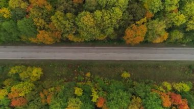 Sonbahar ormanı ve yolunun hava videosu