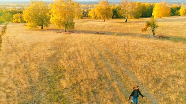Vídeo aéreo. Chica turista en una caminata en el campo de otoño — Vídeos de Stock