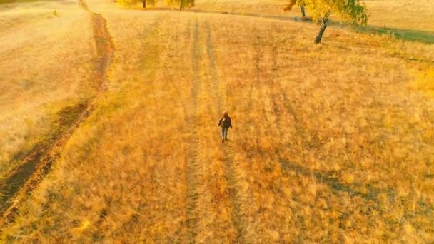 Vidéo aérienne. Touriste fille sur une randonnée dans le champ d'automne — Video