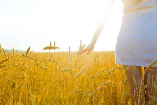 아름다운 아가씨가 석양에 들판에 있어. 여름 노란색 들판에서 햇빛을 받는 소녀. 여름철에 황금빛밀 밭 위에 있는 매력적 인 여자의 모습 — 스톡 사진