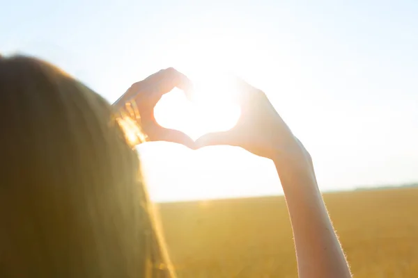 Flicka gör hjärta symbol med händerna vid solnedgången på naturen bakgrund Stockbild
