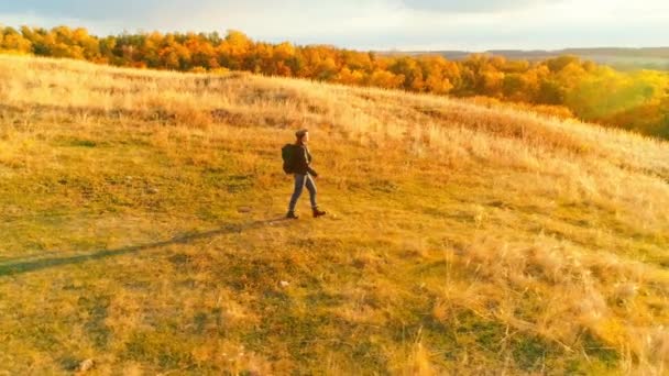 Vidéo aérienne. Touriste fille sur une randonnée dans le champ d'automne — Video