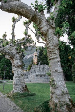 Botanik bahçesi, Tremezzo 'da eski büyük ağaçlar, Como Gölü, İtalya. 