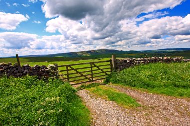 güzel manzara ile taş duvarlar, yorkshire, İngiltere, İngiltere