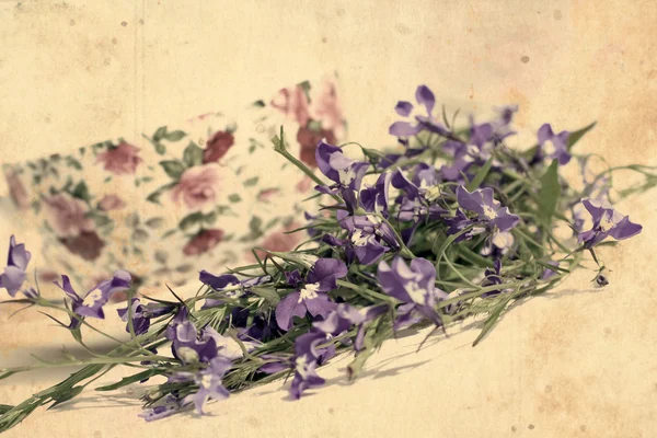 Beau fond vintage avec lobélies en fleurs — Photo