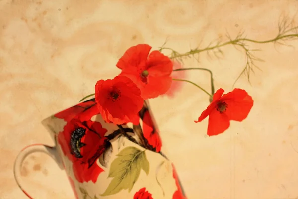 Ganska blommig grungy bakgrunden med röd vallmo — Stockfoto