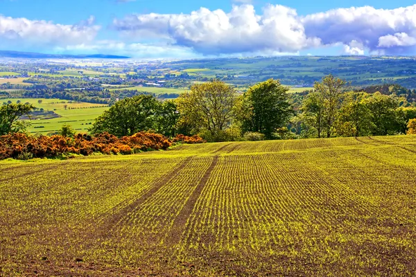 Krásné krajiny s poli v jarní — Stock fotografie