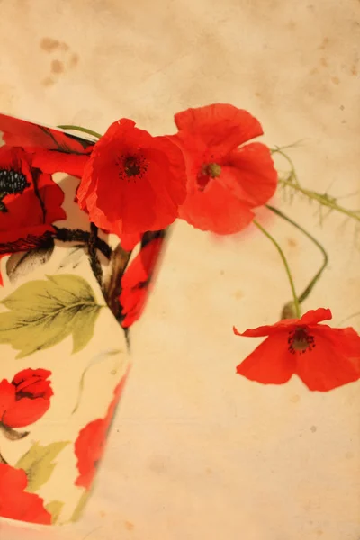 Latar belakang pemarah cantik dengan bunga poppy merah — Stok Foto