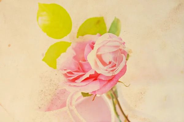Roze roos vintage achtergrond — Stockfoto
