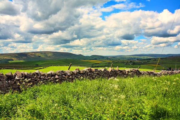 Gyönyörű táj, a kőfalak, Yorkshire, Anglia, Nagy-Britannia — Stock Fotó