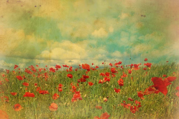 Kırmızı poppies alanları grungy etkisi ile