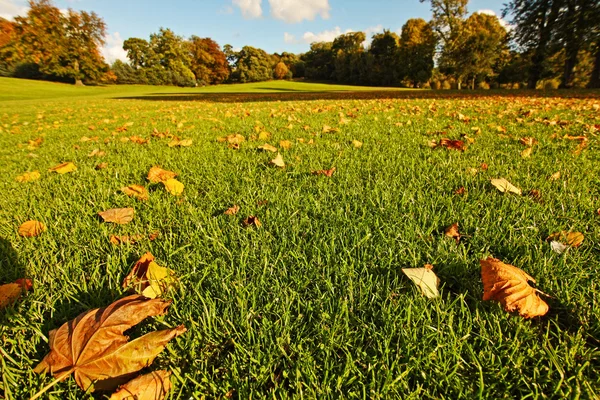 Beautiful Autumn in the park — Stock Photo, Image