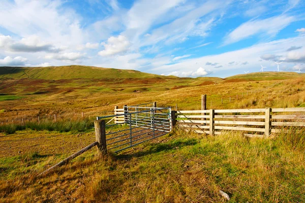 Пейзаж с деревянным забором в St Abbs Head, Шотландия, Великобритания — стоковое фото