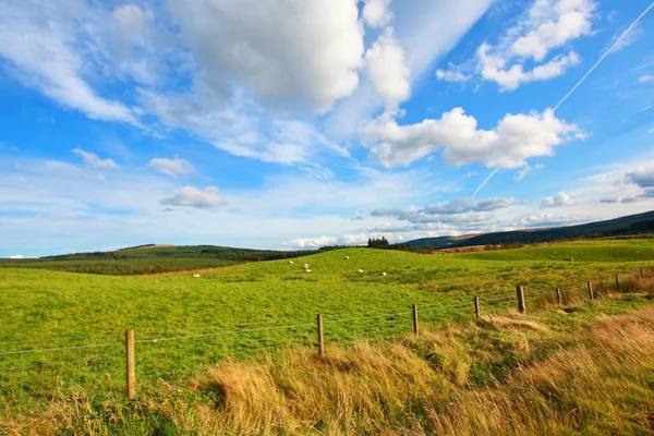 Szent Brigitta, Berwickshire, Scotland tengerpart — Stock Fotó