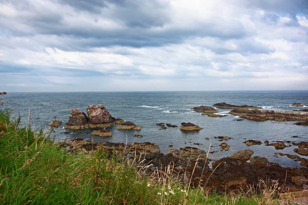 在 st、 berwickshire、 苏格兰的海滨 — 图库照片