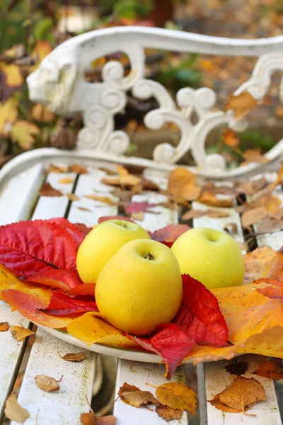 Reife, grüne Äpfel im Garten, Herbstzeit — Stockfoto