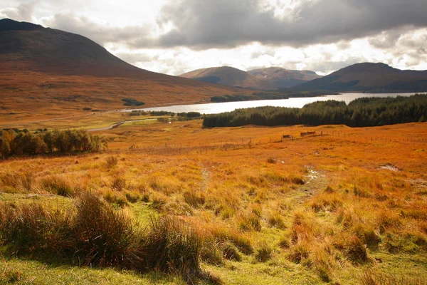Glencoe, schottisches Hochland, Schottland, Großbritannien — Stockfoto