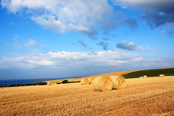 Vackert landskap med höbalar, Skottland — Stockfoto