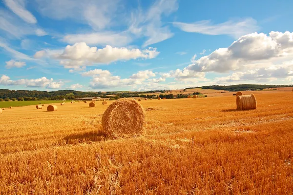 Malowniczy krajobraz z haybales — Zdjęcie stockowe