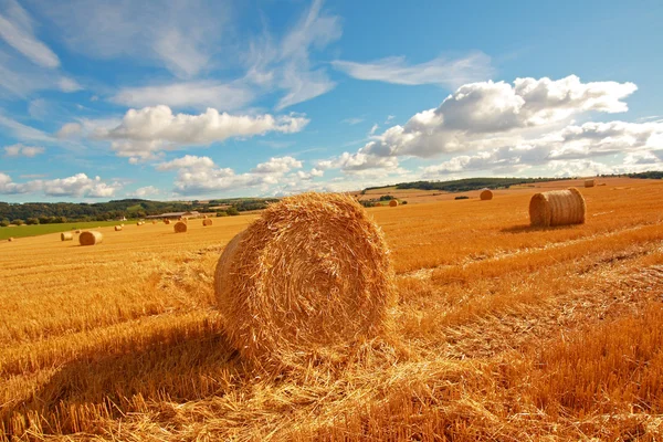 Scenic landscape with haybales — Stock Photo, Image