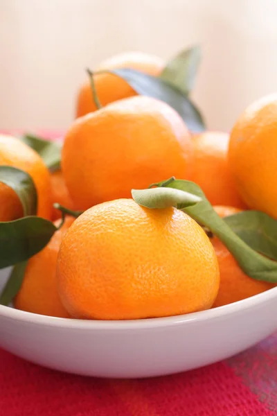 Clementinas maduras na tigela, de perto — Fotografia de Stock