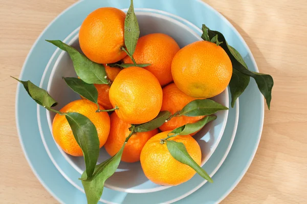 Ripe clementines on the blue, pastel plate — Stock Photo, Image