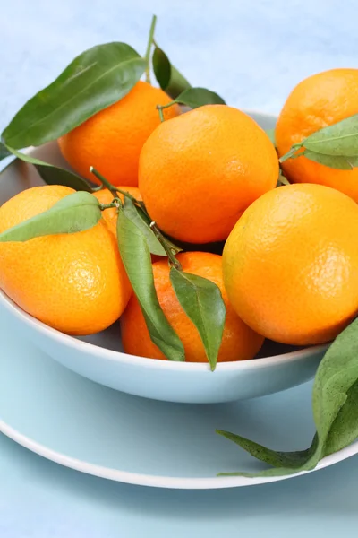 Ripe clementines on the blue, pastel plate — Stock Photo, Image