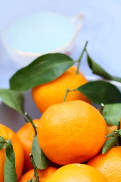 Ripe clementines on the blue, pastel plate — Stock Photo, Image