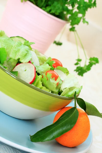 Gesunder Salat auf dem blauen, pastellfarbenen Teller — Stockfoto