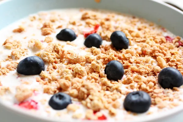 Gesundes musil vegetarisches Frühstück — Stockfoto