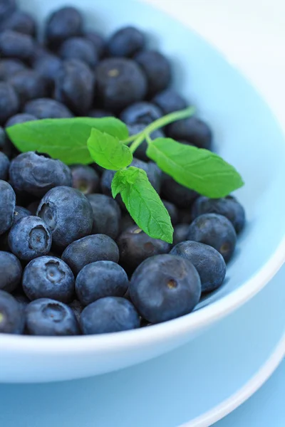 Ripe blueberries in the blue bowl — Stock Photo, Image