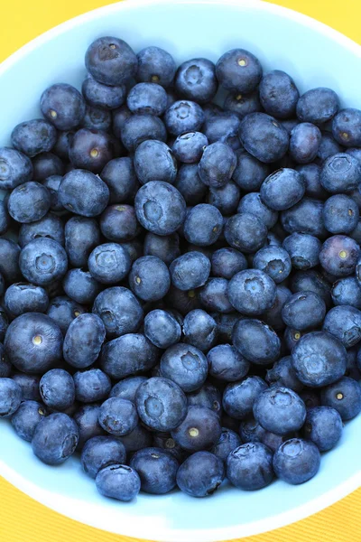 Ripe blueberries in the blue bowl — Stock Photo, Image