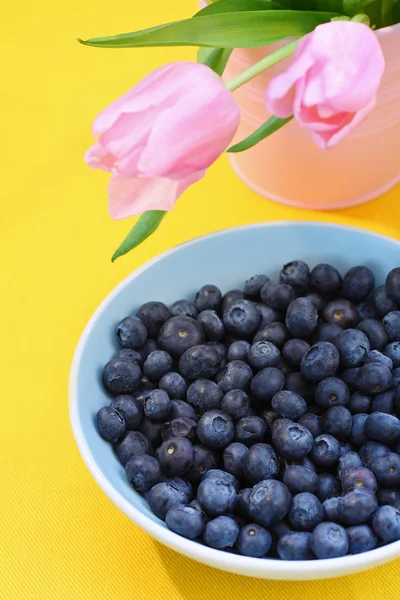 Schöne rosa Tulpen und Blaubeeren — Stockfoto