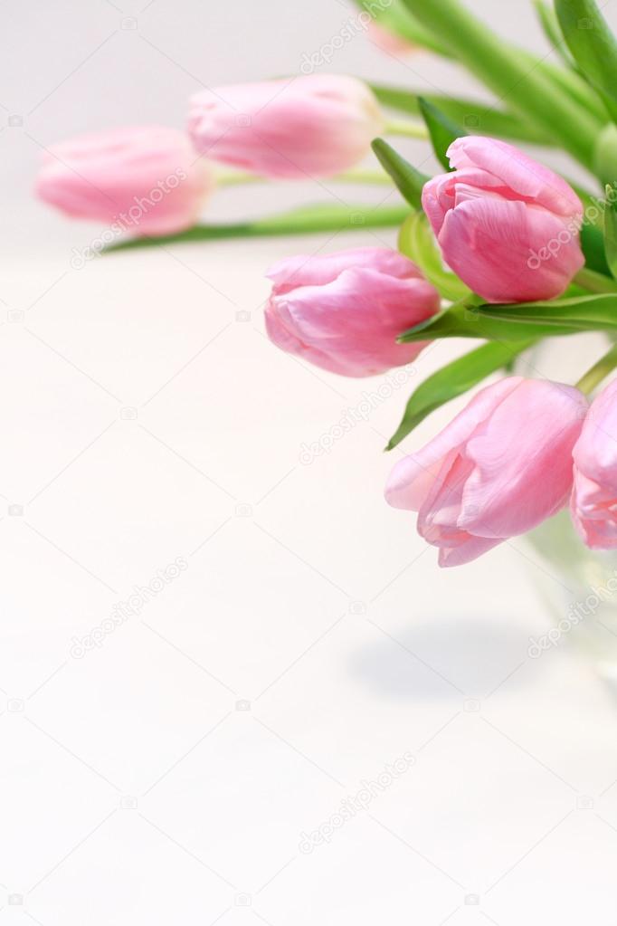Beautiful pink tulips in the vase