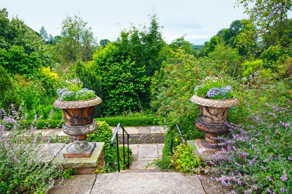 Schöner alter Garten — Stockfoto