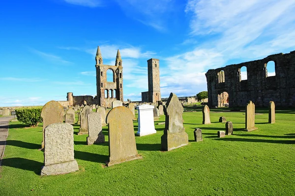 St andrews cathedral & st regler tower, Skottland — Stockfoto