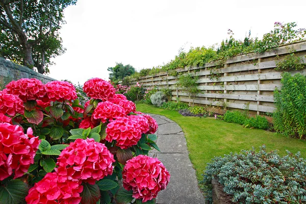 Ogród piękny, stary, — Zdjęcie stockowe