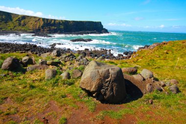 Bahar İrlandalı Sahili