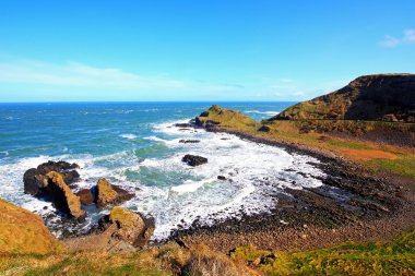 Bahar İrlandalı Sahili