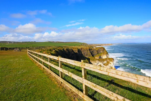 Irländska kusten på våren — Stockfoto
