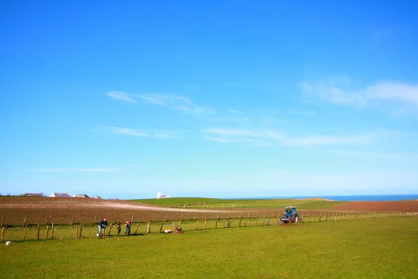 Beautiful Spring landscape with fields — 스톡 사진