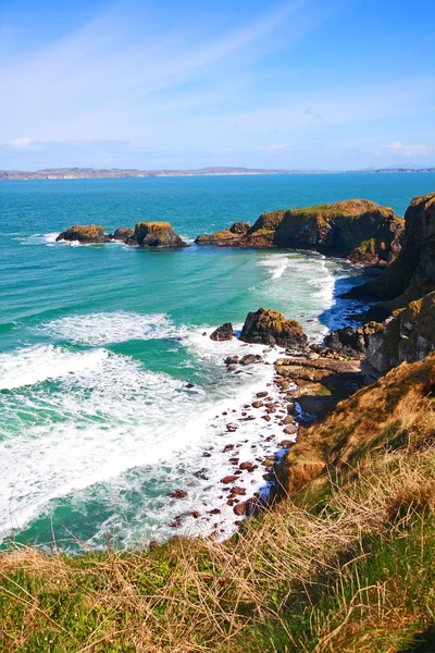 春にはアイルランドの海岸線 — ストック写真