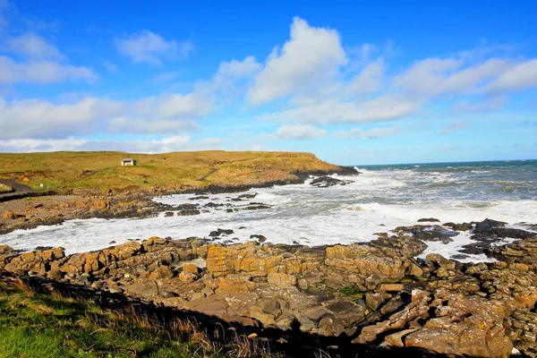 Irish coastline in Springtime — Stock Photo, Image
