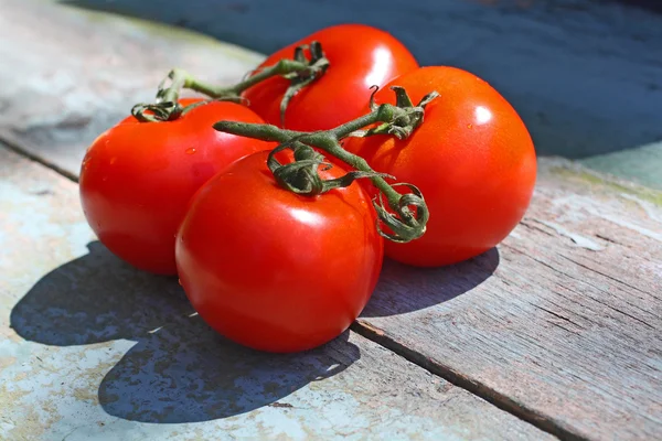 Reife Tomaten auf einem rustikalen alten Tisch — Stockfoto